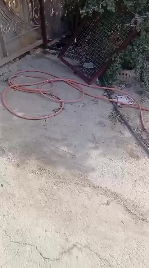 سلام عليكم للبيع بيت بصابيات راست الوزرا لوله صير طبه من البانزين خالنه جديدا وطب يم باب شركه ورقم لقطعه 108 ولبيت بسمي المساحه 150 متر وتفاصيل فلديوو سعر 130 مليون ومطلوب قرض اسكان 60 مليون يشتري هو يكمل لقصط بشهر 330 يعني سعر لبيت لكلي 190 تنطي هس 130ولباقي اقصاط وشراي يخابر ممتوحد عل نت *********** وتفاصيل داخل لفديووو
