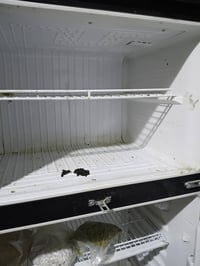 ثلاجه اخت جديد معوزه غاز سعر ٦٠الف07807485473