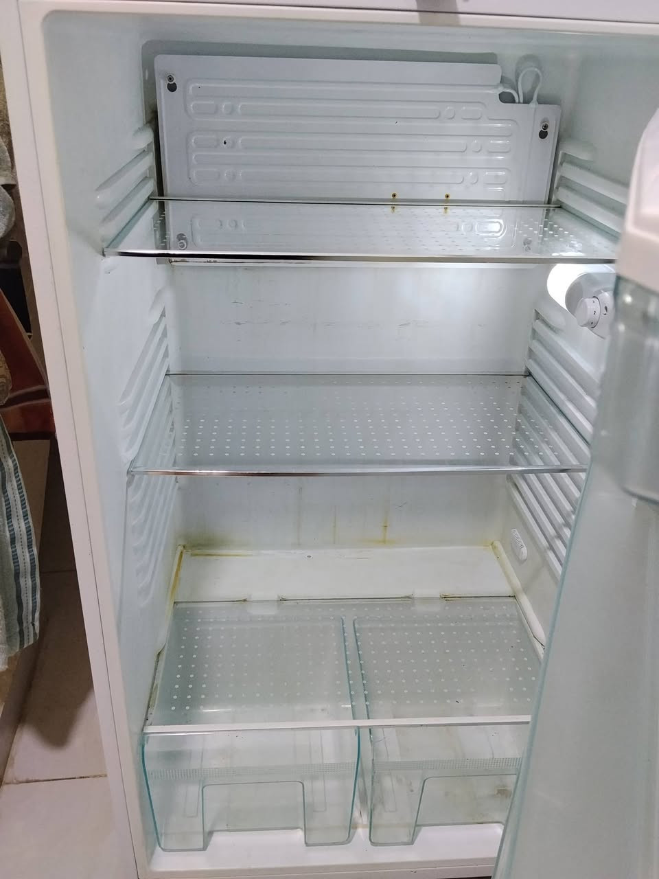 ثلاجه المتين حجم كبير


**إذا كنت صاحب هذا الإعلان وتريد حذفه لأي سبب، رجاءا أرسل رسالة إلى الدعم الفني**