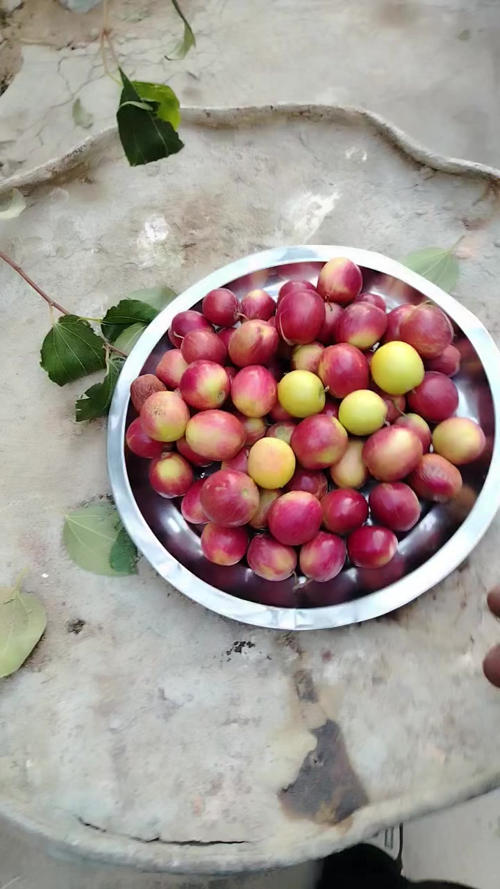 السلام عليكم ورحمة الله وبركاته الي حاب يطعم السدر اني بالخدمه اي استفسار بخصوص السدر اني خادم رقمي بي واتساب ***********0
