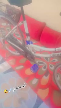 باسكل • ٢٠٢٠ • حجم ٢٦