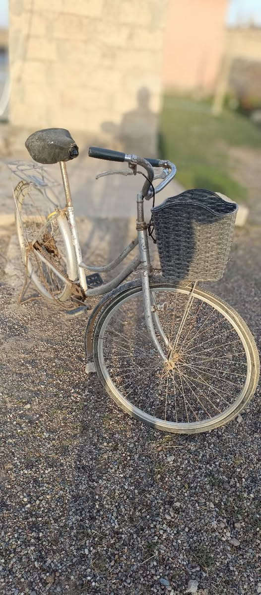 يتوفر بايسكلات 2 حجم كبير للبيع في بيجي 🚏 الاسود ب60 الف الرصاصي ب50 ، للاستفسار ***********
