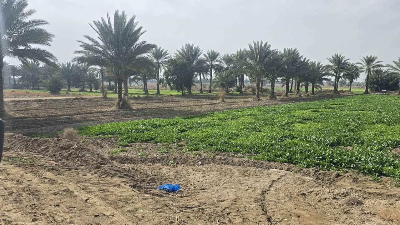 دونمين اله ربع للبيع  طابو زراعي سند 25 تحويل  مباشر
العنوان. خلف جامعه بابل. متوفر ماء  السقي وايضاً ماء 

اساله. و كهرباء. الخدمات كامله.     السعر مناسب. 

.  ***********
