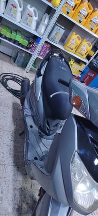سكنس فحل • ياباني • مامفتوح