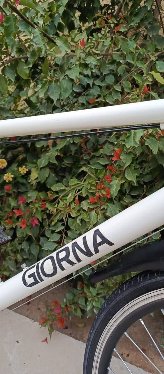 بأيسكل رياضي باله #ياباني ماركة جيرونا 
#التفاصيل📲 اتصال *********** 
#مكلف #بالنشر
