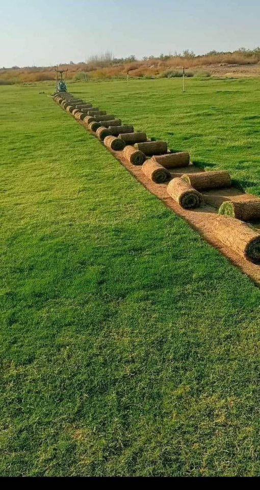 باسعار ثيل ديالى الطبيعي 🏡
أهلاً بكم في مجموعه مزارع ديالى لثيل الهندي الطبيعي 🌿🌱
 نقدم لكم افضل انوع الثيل الطبيعي عالي الجوده يتحمل كافه الضروف البيئية.🌦️🌞
دائم الخضرة🌿🌳 وباسعار تنافسيه وعروض مميزة ☘️❤️
#مستعدون لتجهيز وفرش الحدائق🏡 ودوائر الدولة🏡والمنازل🏡🏡
و تجهيز الملاعب🏟️ والمنتزهات بانسب الاسعار مع ضمان الجودة العالية في العمل👷👷

مع خدمة التوصيل خلال24ساعه🚛🚛  
الاسعار 💵💸 تختلف حسب الكمية 
للاستفسار الاتصال على : 
او التواصل مع الصفحه عن طريق ارسال رسالة على الوتساب او الاتصال📞‏***********
