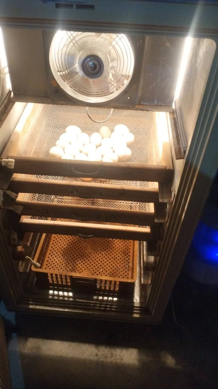 البيع ***********
