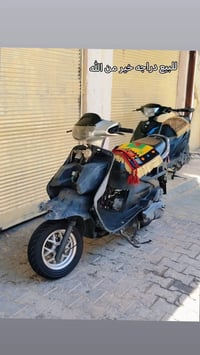 فراشة • فحل • دسك