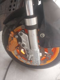 فحل • ولد مكفول