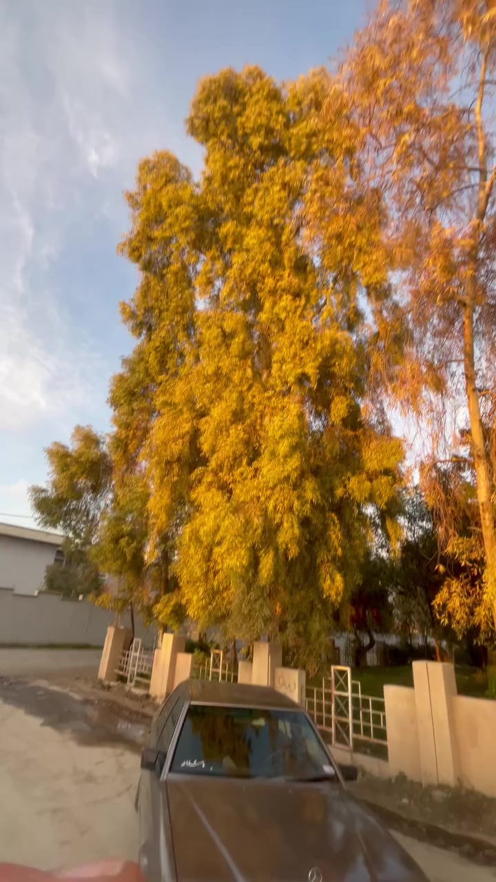 سعرها38بلاش
شرط تحويل وگاله
مرسالس دوب مكينه بيلدي 4محور كابريتر جامه  كهربائي كير ومحرك شرط سنويه مشروع وطني منتهي صار شهرين 
مبدله بدانن سياره جهاز مابيها اي نقصه  بيع مستعجل عندي ضروف وريد ابيعه 
***********
