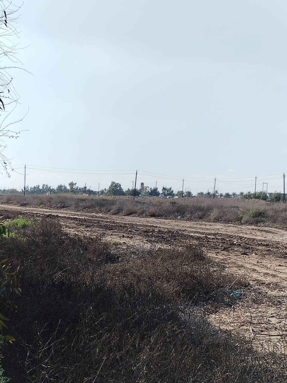 سلام عليكم ورحمة الله وبركاتة 80دونم للبيع عنوان بغداد الرضوانيه عله سريع الدولي قرب من حي الجهاد والمكاسب الشراي يتفضل خاص افهمه بل باقي ***********واتساب سعر الدونم 30وبي مجال
