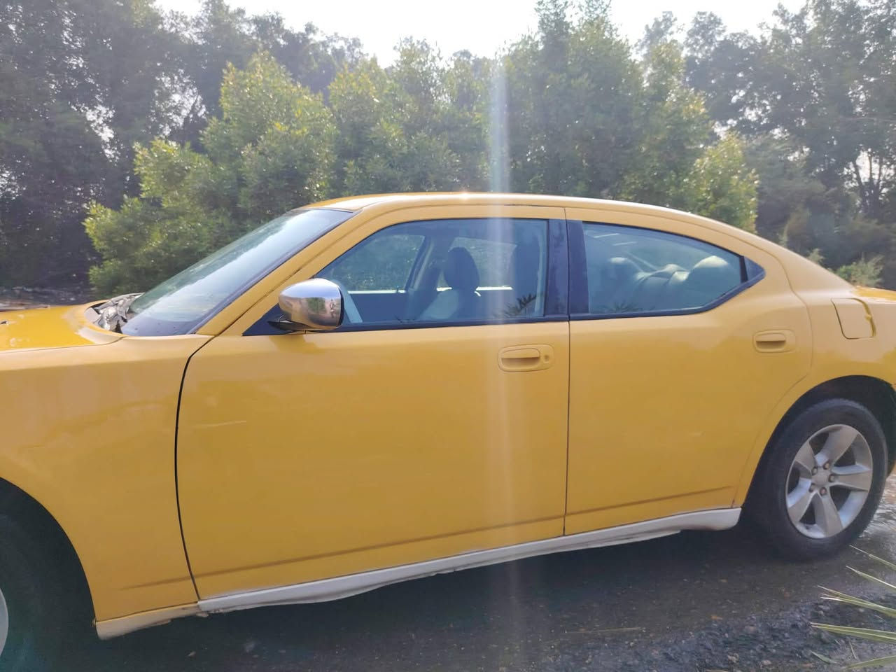 جارجر 2008 حادثة جاملغ الخلفي فقط  (بيع مراوس بخصوصي)
خطها عماره بغداد  سياره حلووه كلش 
مكينه وكير كفاله. 
مكفوله من لكص او لعيب الشرعي او الأصوليات 
تخم تاير جديد حداديه جديده. 
سعر88 وبيه مجال مكان سياره ميسان. المجر الكبير. 
***********
