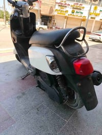 بوليس • رمبه • شرط الفحص