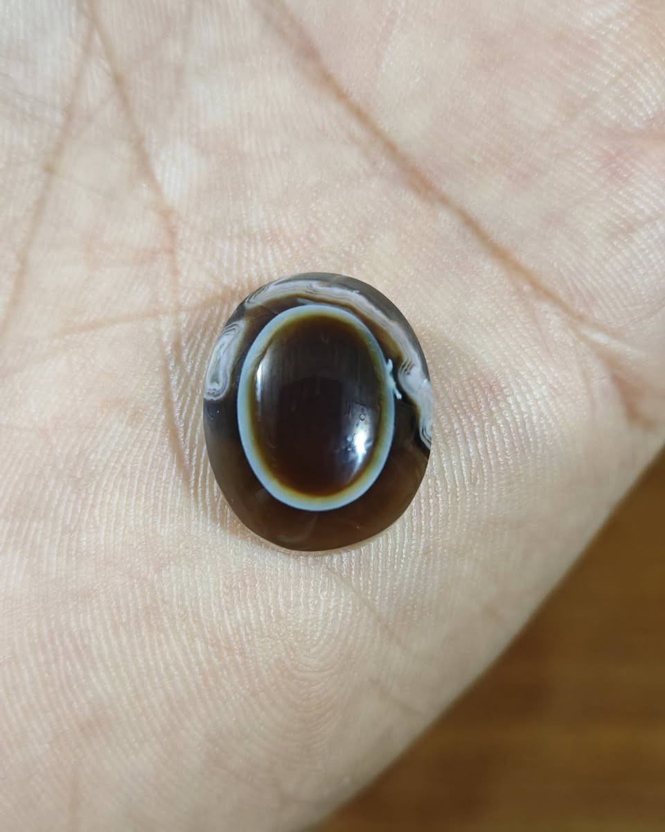 جزع يماني جميل ..تخفيصات شهر رمضان


**إذا كنت صاحب هذا الإعلان وتريد حذفه لأي سبب، رجاءا أرسل رسالة إلى الدعم الفني**