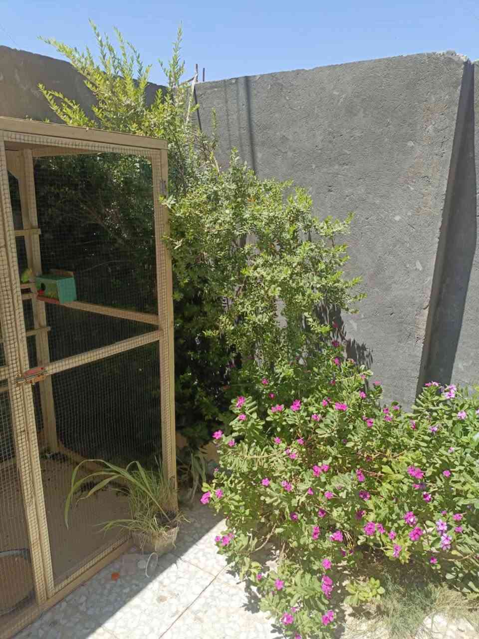 السلام عليكم 

بيت طابو زراعي سند 25 للبيع المساحه 250 يتكون من

 غرفتين وصاله وأستقبال ومطبخ ومجموعة صحيات العنوان 

 طويريج خلف منطقة الكردي السنيه على الأروائي مباشر 

 للأستفسار أكثر
 ***********
***********
