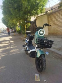 دراجة شحن • الماسه كلاسك • موديل ٢٥