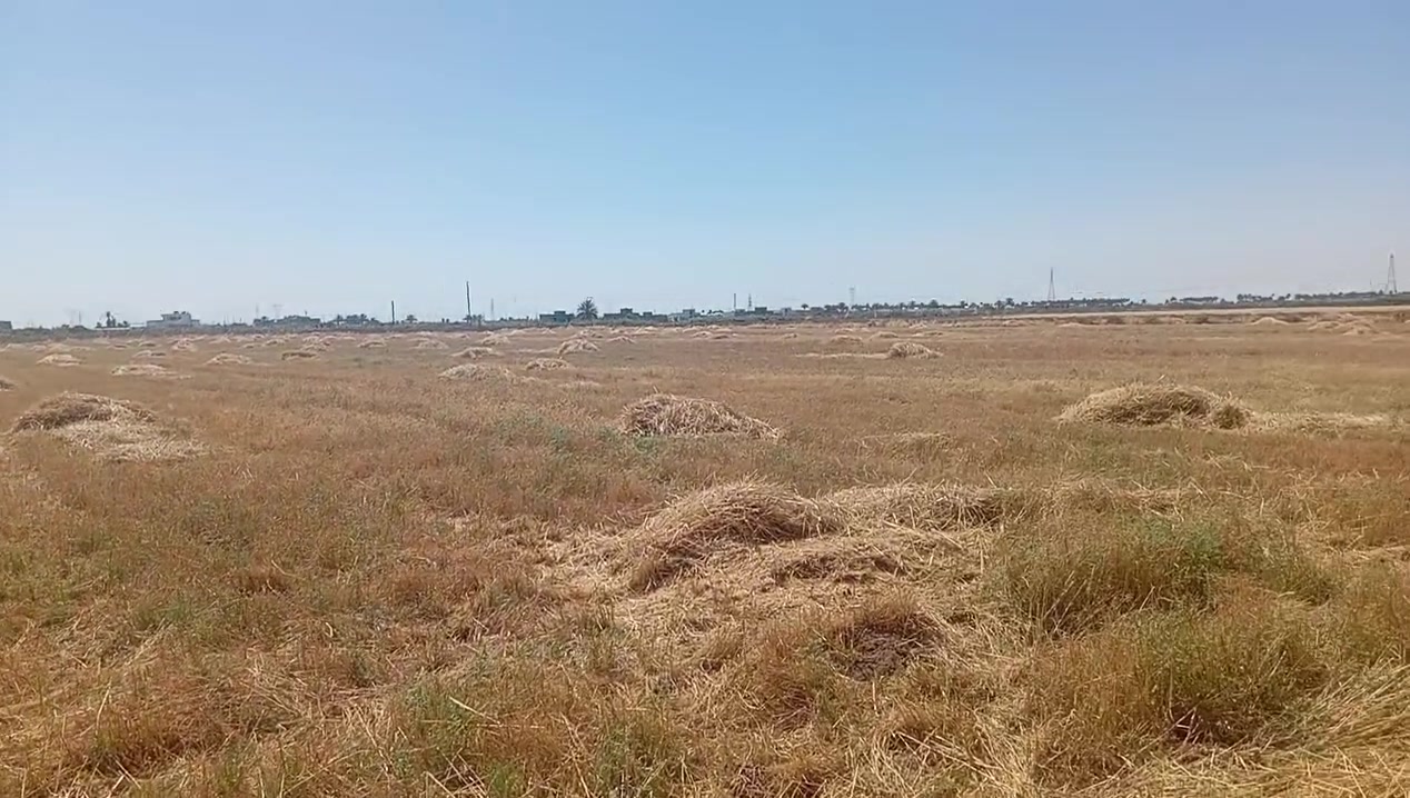 يوجد 4 دونم للبيع في الرمادي الجمعيه الثانيه بالقرب من طريق السريع و جامع الرزاق 

طابو زراعي  سند 25 
تنازل مباشر 
واصل جميع الخدمات من ماء و كهرباء 

 سعر الدونم الواحد 55 مليون وقابل للتفاوض 

للتواصل الاتصال على الارقام التالية أو زيارة مكتبنا على طريق الثرثار قرب الطاحونه 

***********
*********** احمد
