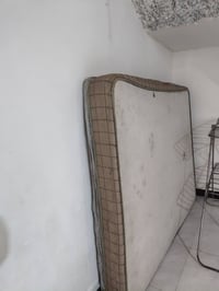 فراش • تنومه • اسفنج للفقرات