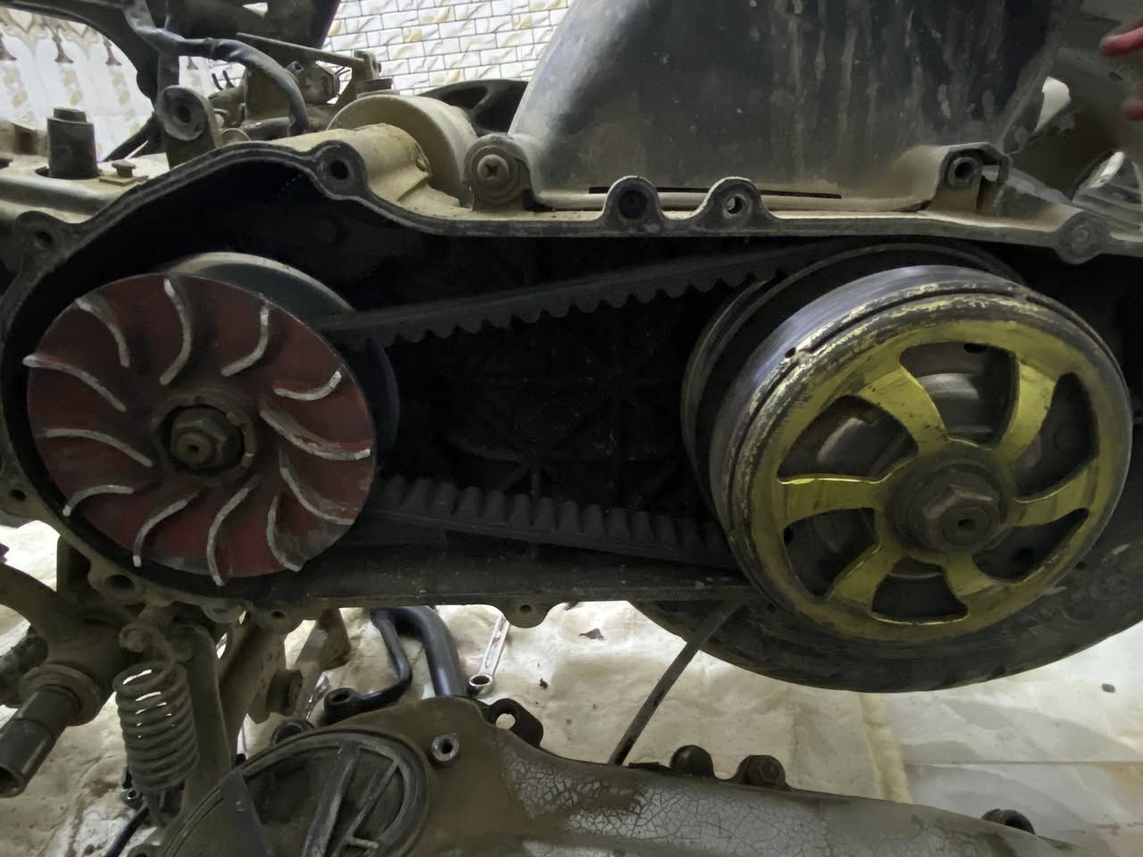 سكنس جبلي تفصيخ شتريد مو جود
خاص 
رقمي ‭***********‬
