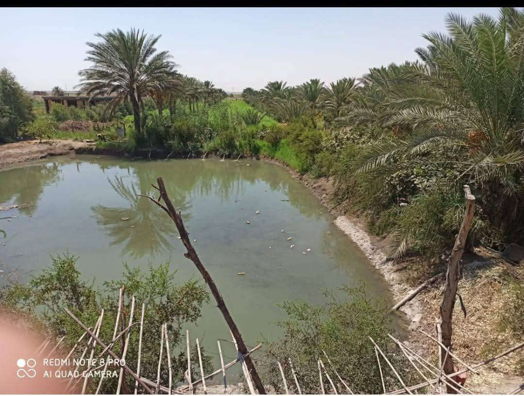 مزرعه للبيع طابو زراعي المساحة 4.5 دونم تحتوي على دار بمساحه 180 م منظومة ماء RO بحيرة اسماك شغاله تحتوي على اسماك مختلفة الاحجام وحقل ابقار صغير نخيل ملون وشتلات تين شارع تبليط لحد المزرعة متوفرة كافة الخدمات 
العنوان/ خلف جامعة بابل منطقة ابراهيم تبعد عن جامعة بابل اقل من 4 كم 
لمعرفة السعر وباقي التفاصيل يرجى الاتصال على الرقم ***********
***********
