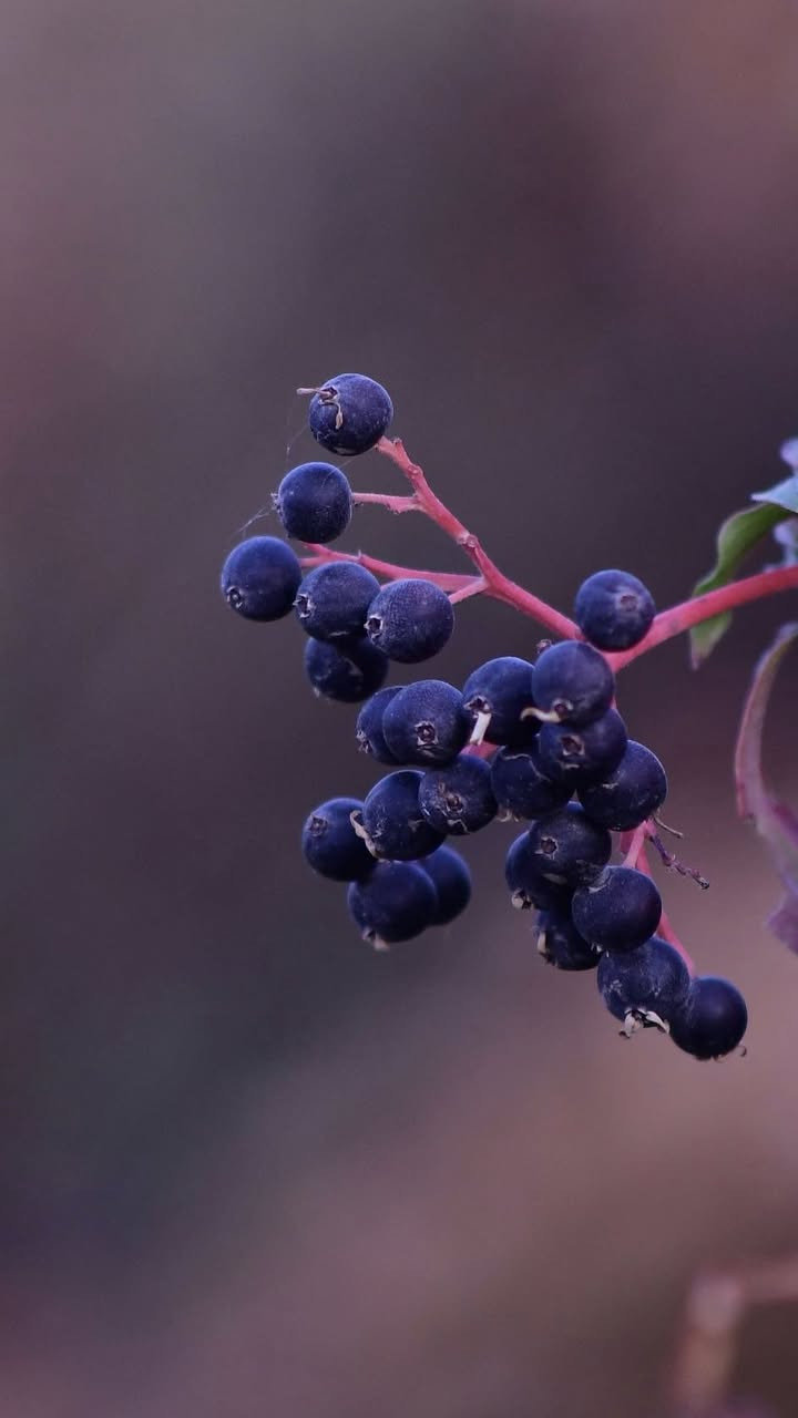 Lens 18-70
Lens 18-70
Look
Battery memory
دولار 125$


**إذا كنت صاحب هذا الإعلان وتريد حذفه لأي سبب، رجاءا أرسل رسالة إلى الدعم الفني**