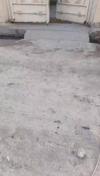 العكيلي • دار • ١٠٠م