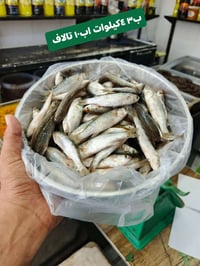 طازج • من الصياد • توصيل السماوه