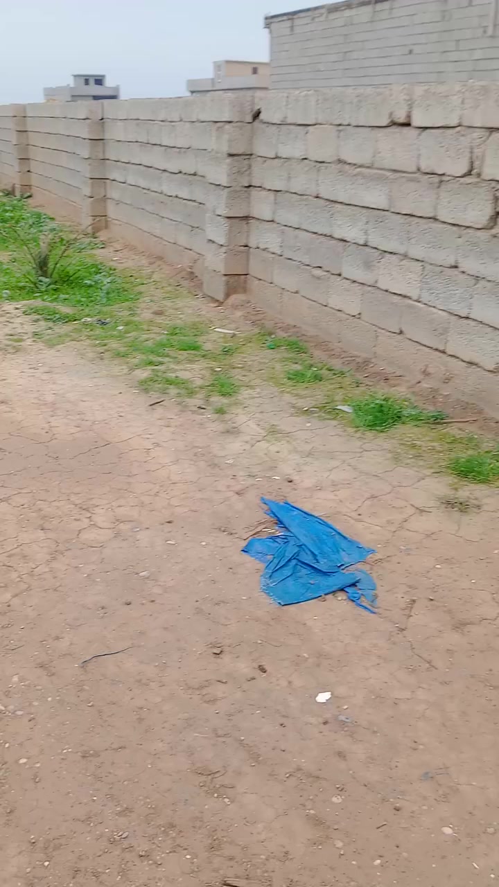 السلام عليكم 
الحمد لله رب العالمين 
للبيع قطعة زراعي في قرية الصياد قريبة على الشارع العام قبل دائرة الكهرباء 
يتوفر فيها ماء 
يتوفر فيها كهرباء 
شارع صب مرتب 
القطعة على الشارع بالضبط مسيجة ببلوك 
المساحة 250 متر زراعية 
للاستفسار 
الاتصال على الرقم 
***********
