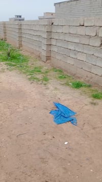 قرية الصياد • ٢٥٠م • زراعي