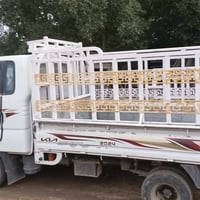 كيه بنكو • موديل ١٤ • كفاله