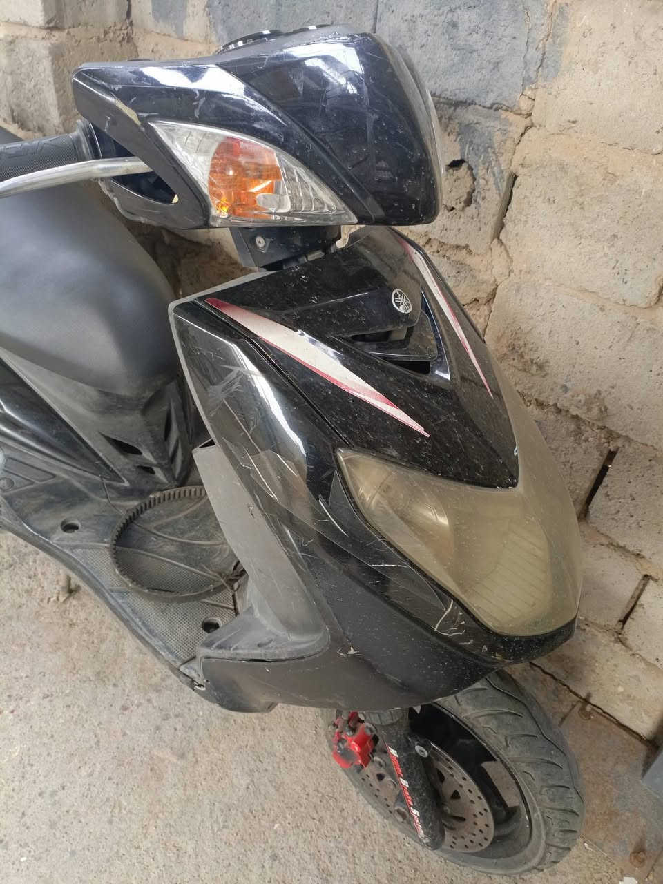 فحل ياباني للبيع استفسار واتساب ***********بغداد
