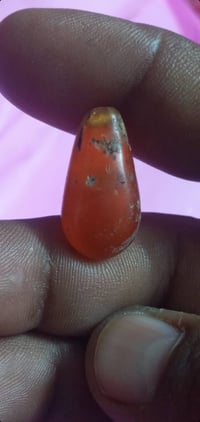 دلو يماني • ملكط