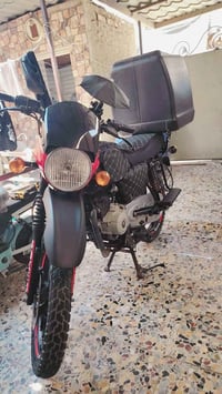 بوكسر جبلي موديل ٢٠٢٣اوراق ضايعة مكان بغداد الجديدة سعر ٩٥٠رقم ٠٧٧٤٥٥٦...