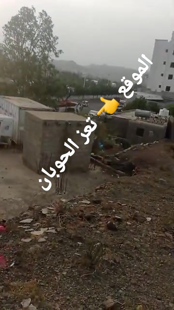 الموقع 👈 تعز الحوبان 
هذه تبه ثاني درجه من الخط الزفلت على شارع 14بخط عدن أمام محطة سام السعرمن 3مليون  معمدمظرب مسجله بلسجل العقاري خذلك منها40او50اوحتاء100قصبه حسب الطلب 
لتواصل والاستفسار 👇 
784024197
730792714
#متابعين
#غمدان_الغزالي_للخدمات_العقاريه


**إذا كنت صاحب هذا الإعلان وتريد حذفه لأي سبب، رجاءا أرسل رسالة إلى الدعم الفني**