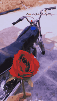 ابلاش 
للبيع  شاصي  15اوراق اصولي بوجهك للترقيم  تعمير  صالهة شهرين بعدهة جيس الدراجة وانضف من صورة ما مفتوحة محرك بعدة جيس  سعر خاص او ***********
