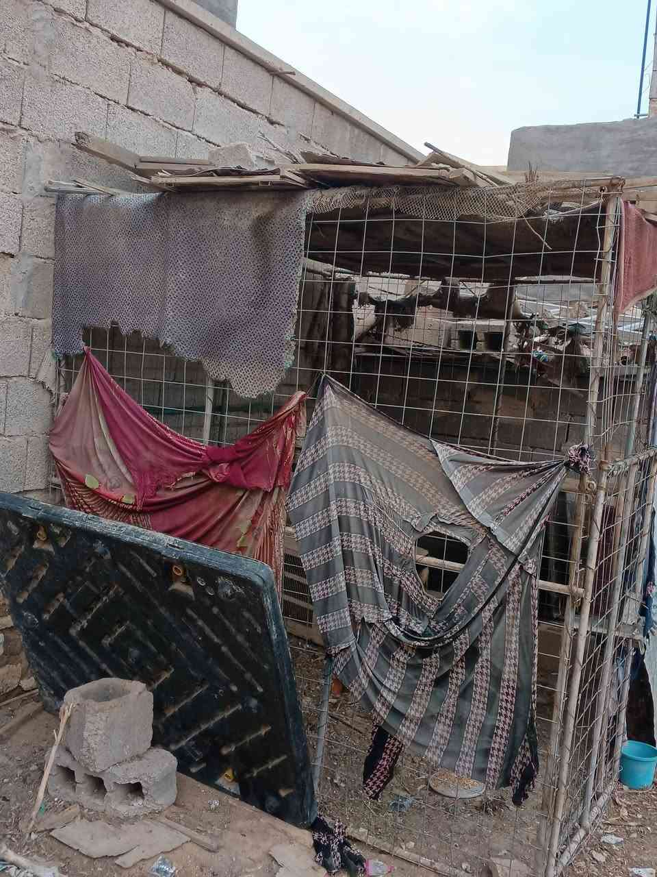 السلام عليكم...
يوجد هذا القفص كبير مال دجاج أو غنم وجديد مثل ما موجود بل صور والمقطع  ولحيمه جديد وقوي
سعره =80. الف وبيه مجال بسيط


**إذا كنت صاحب هذا الإعلان وتريد حذفه لأي سبب، رجاءا أرسل رسالة إلى الدعم الفني**