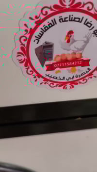 تفقيص بيض • أنواع دجاج • البصرة