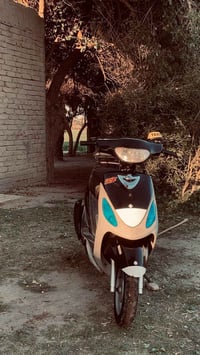 ماكس منغولي • متواجد 24ساعه • خاص