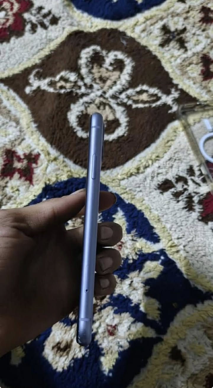 السلام عليكم ايفون 11 عادي للبيع
ذاكره 64
 بطاريه 62 مايصرف شحن ابد 
الجهاز نضيف فقط بيه اشعار شاشه و الشاشه ممبدله ابد فقط وكع مني وطلع بي اشعار نهايته من الاخير 140  مكاني كركوك حي العروبه رقمي لل تواصل ***********
