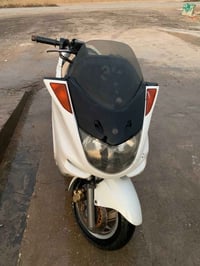 ماجسته • شغالة • كوت