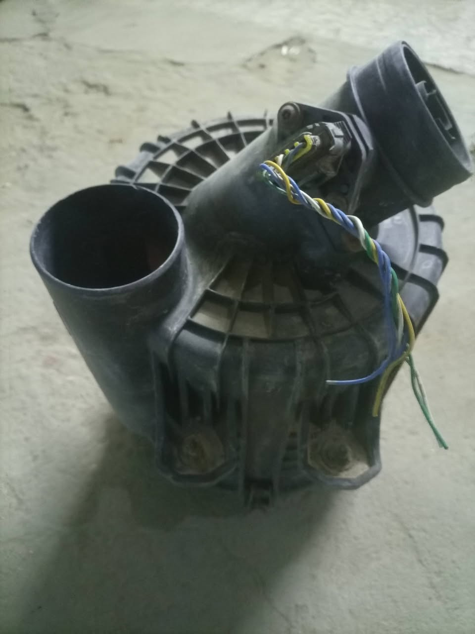 شوته فحل اصليه السعر 30 ويوجد توصيل ***********
