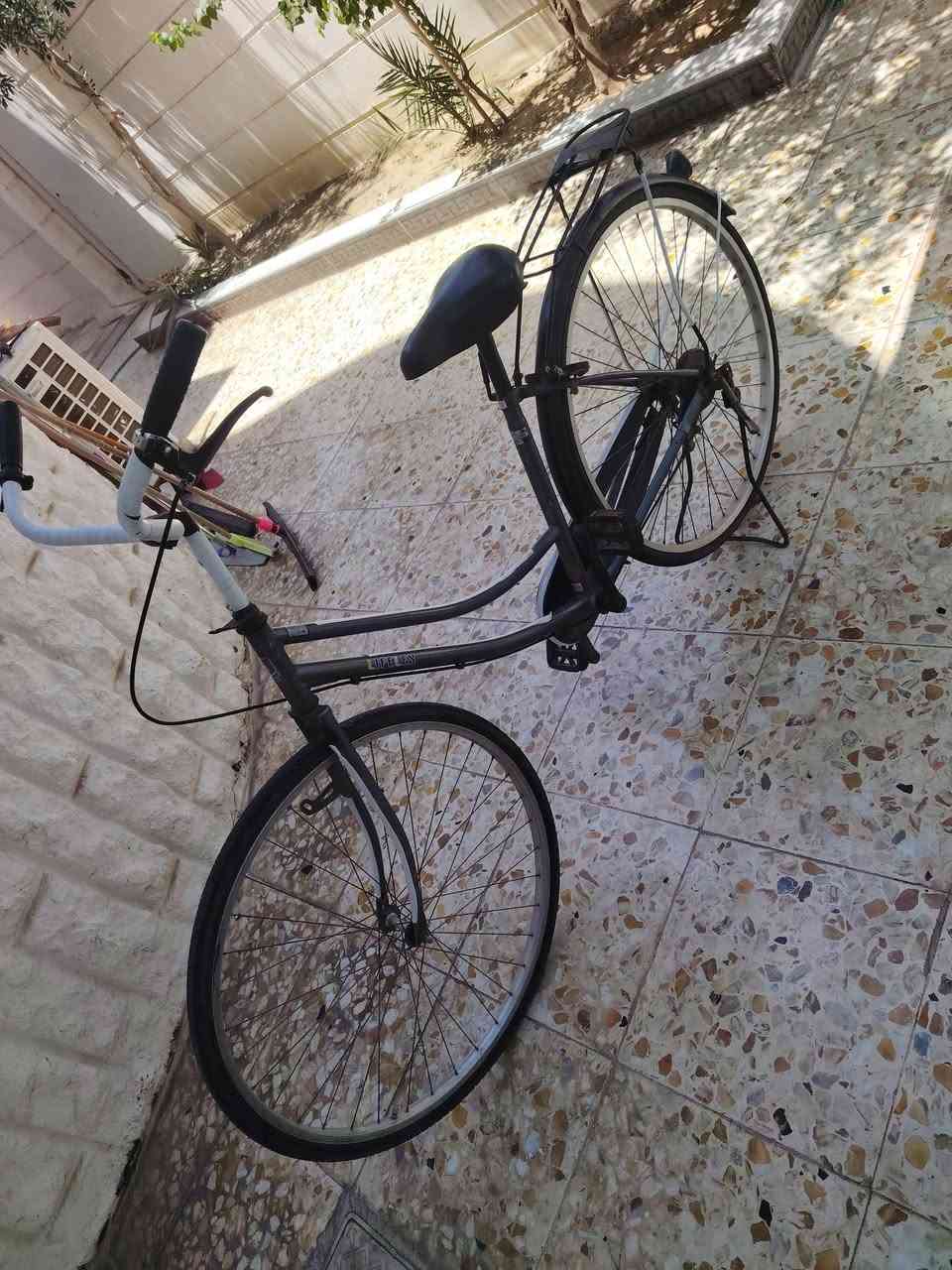 بايسكل ياباني حجم ٢٧ كله شغال السعر ٧٠ وبي مجال كركوك حي عدن بيع مستعجل عليه


**إذا كنت صاحب هذا الإعلان وتريد حذفه لأي سبب، رجاءا أرسل رسالة إلى الدعم الفني**