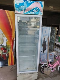 ثلاجات عرض • بنجا علي • بيها مجال