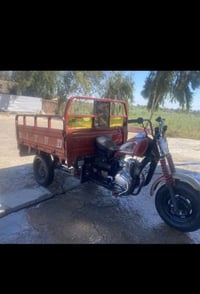 ستوته • مديل 15 • بني سعيد