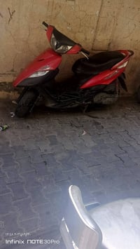 ثعلب نوزل مرقم بغداد للبيع  ‏‪07708353740‬‏ بغداد