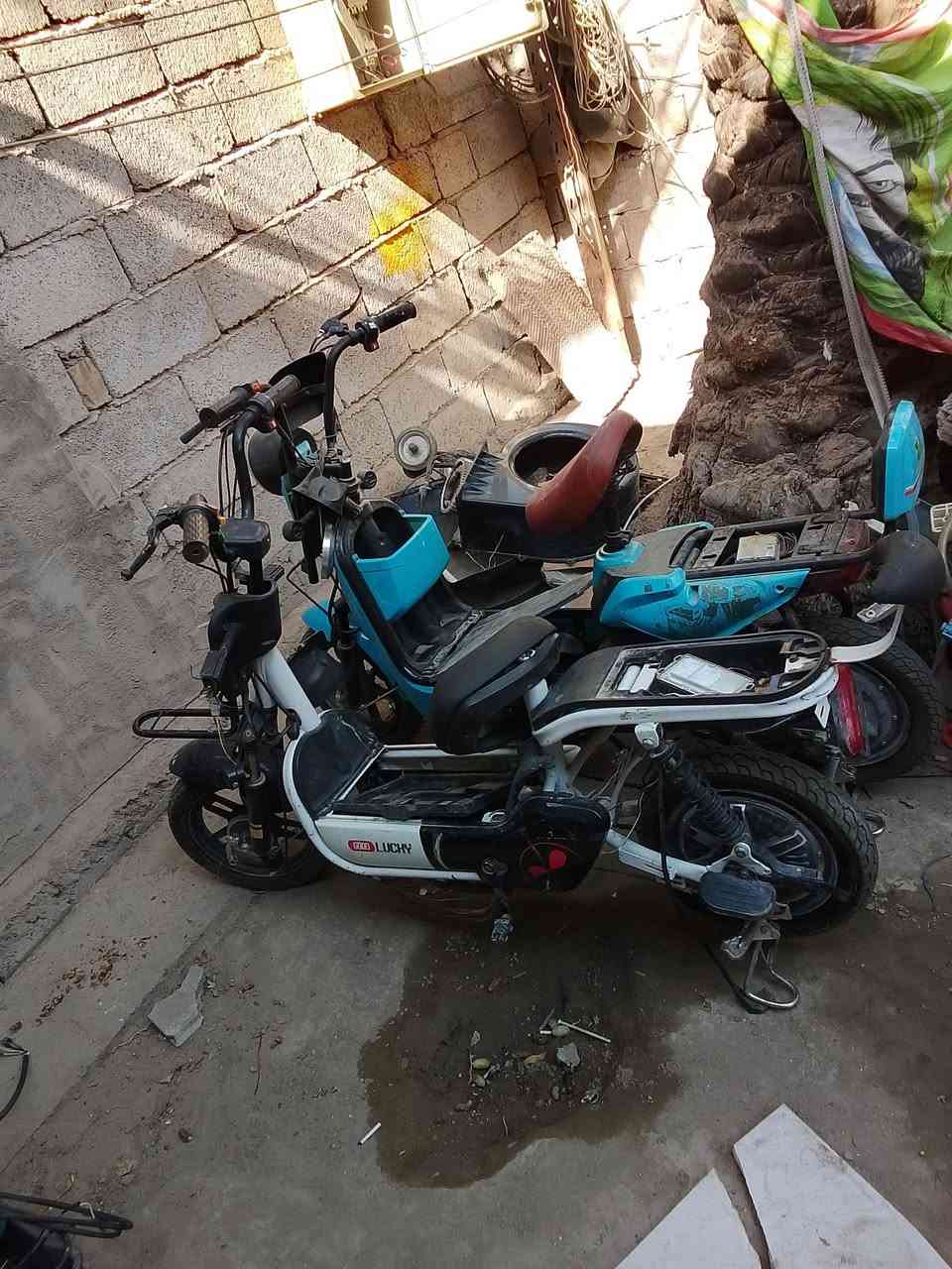 دراجتين شحن وحده نقص بطاريات شغاله وثانيه ادوات البيع كوم حديد ثنينهن (50) الف سعرهن سعر بايسكل بغداد حي الامين خاص مفتوح سعر ثابت


**إذا كنت صاحب هذا الإعلان وتريد حذفه لأي سبب، رجاءا أرسل رسالة إلى الدعم الفني**