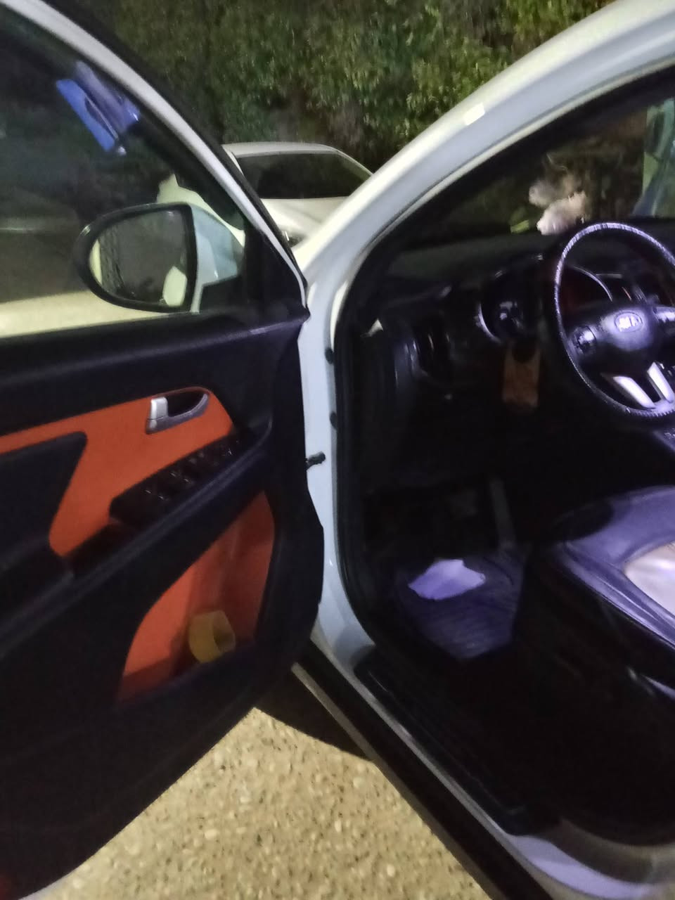 يالله كيا سبورتج موديل 2011 رقم بغداد بسمي سياره مكينه وكير وحداديه خير من الله سيارة جديدة سعر 135وبيه مجال للأستفسار عل رقم *********** مكان السيارة ديالى بعقوبة الجديده
