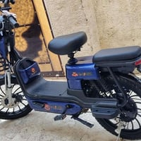 باسكل شحن • بلجيس • جديد
