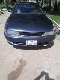 مارك نفخ • ٢٠٠٠ • شغالة