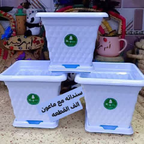 🎉🎊لكثرة الطلبات الكميه محدوده 🎊🎊🎊🎉
🎉🎊القطعه الف فقط لصور لي بالمنشور 
 توصيل كل محافظات العراق 🚕 
الزرع لعرض فقط 🪴 
سارع لحجز كميه محدوده 🎊 
حجز على خاص ☎️
☎️***********📞
